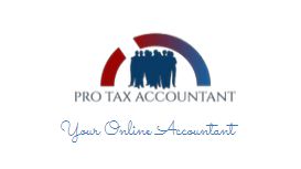 Pro Tax Accountant