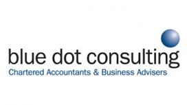 Blue Dot Consulting