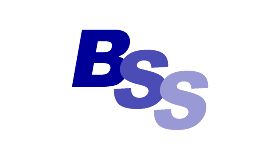 BSS & Co (Accountancy Services)