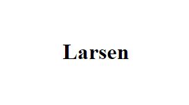 Larsen & Co Chartered Accountant