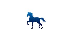 Stallion Accountancy Services